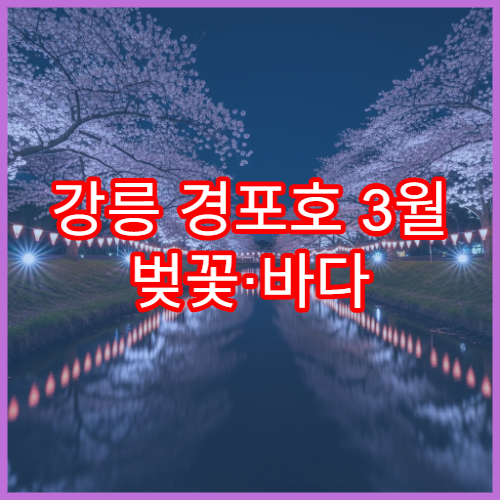 강릉 경포호 3월 벚꽃·바다 산책 코스 미리보기