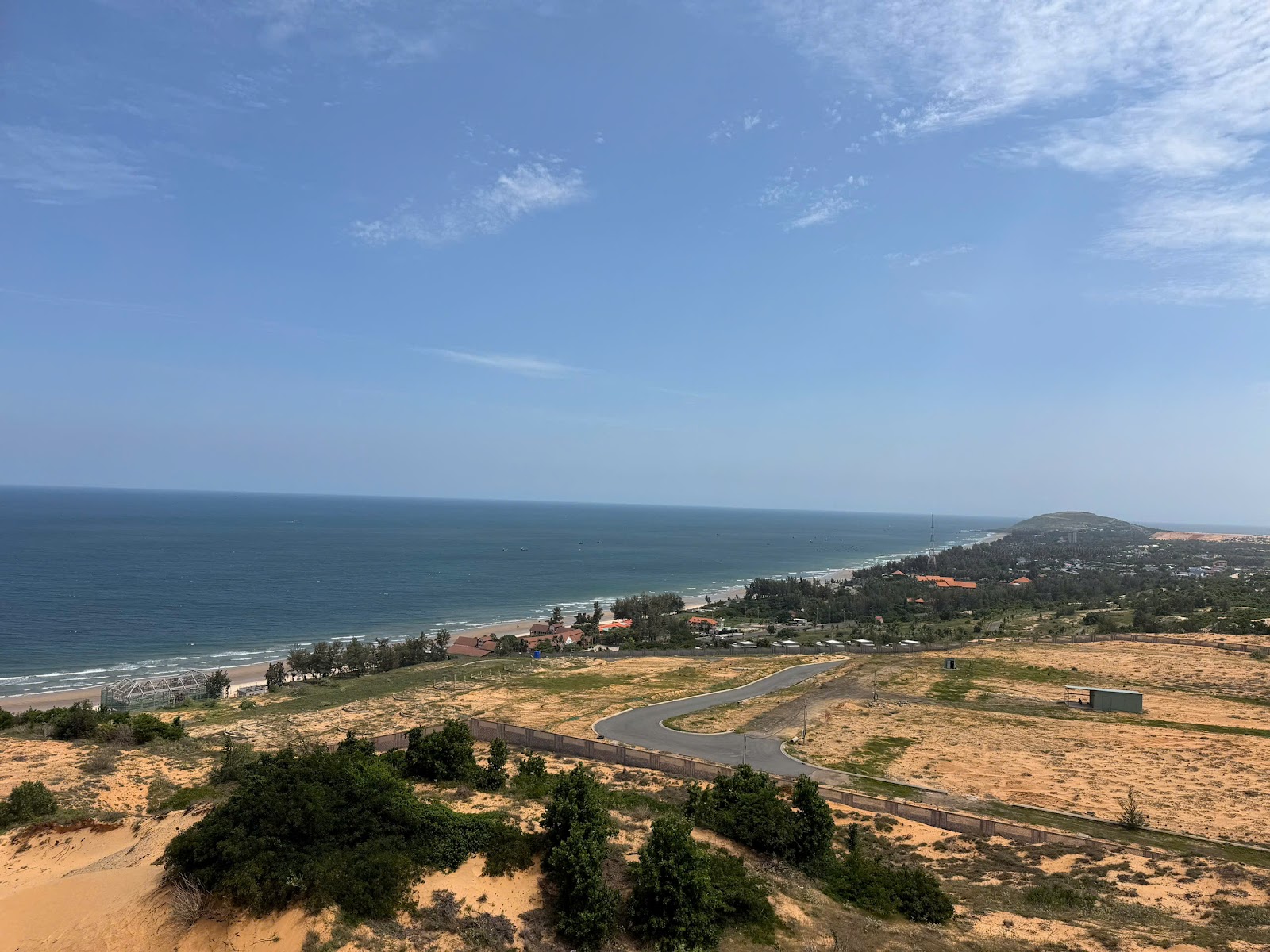 Hoa Sữa
