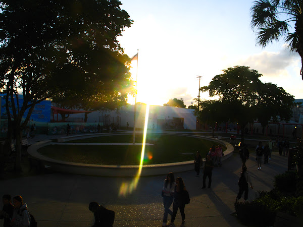 100_1103.jpg
