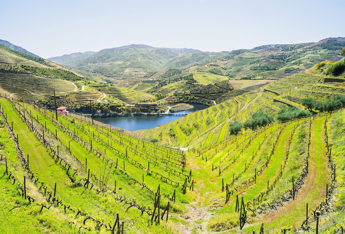 12-Day Portugal Journey: Óbidos to the Algarve & Lisbon