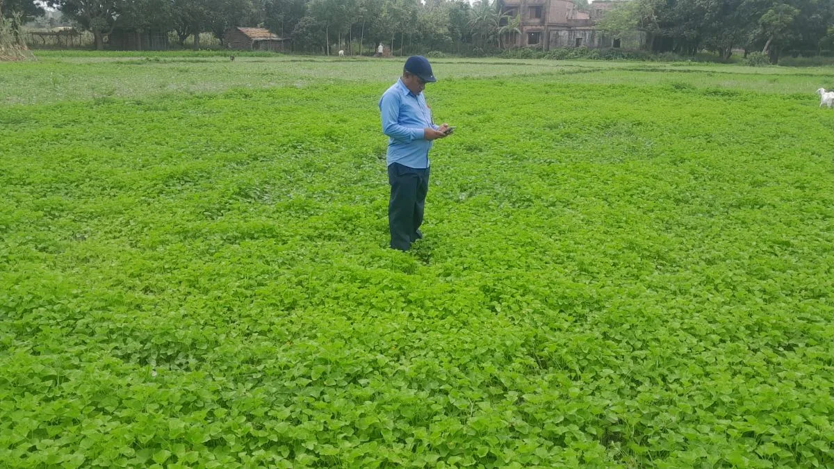 किसानों को नहीं भगवान और नहीं सरकार देख रहे हैं आपदा से बर्बाद हो गया है किसान 