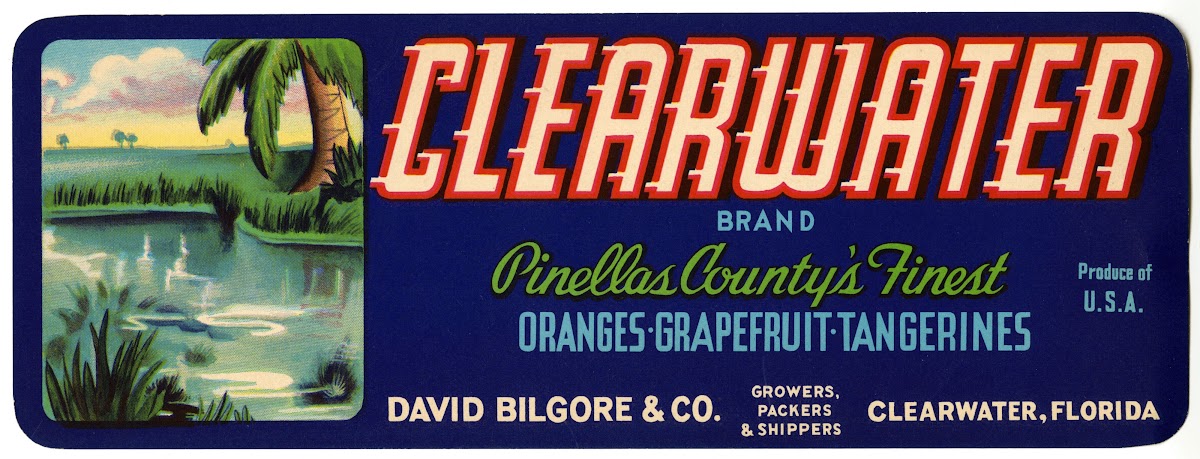 Clearwater Brand Citrus Label 1930 1950