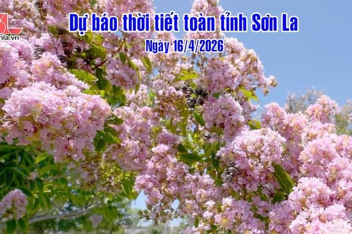Dự báo thời tiết toàn tỉnh Sơn La ngày 16/4/2026 - Báo Sơn La