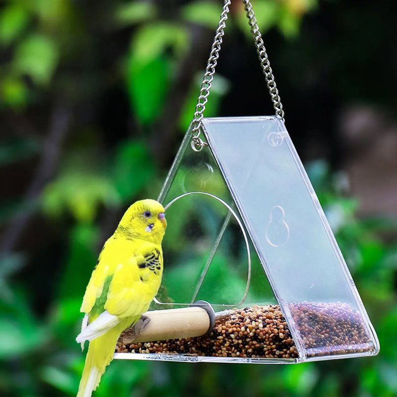 Acrylic Window Birdhouse