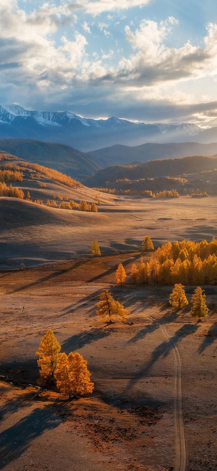 Golden Autumn Valley Landscape - Golden Hour Photography Full HD iPhone Wallpaper (1183x2563)