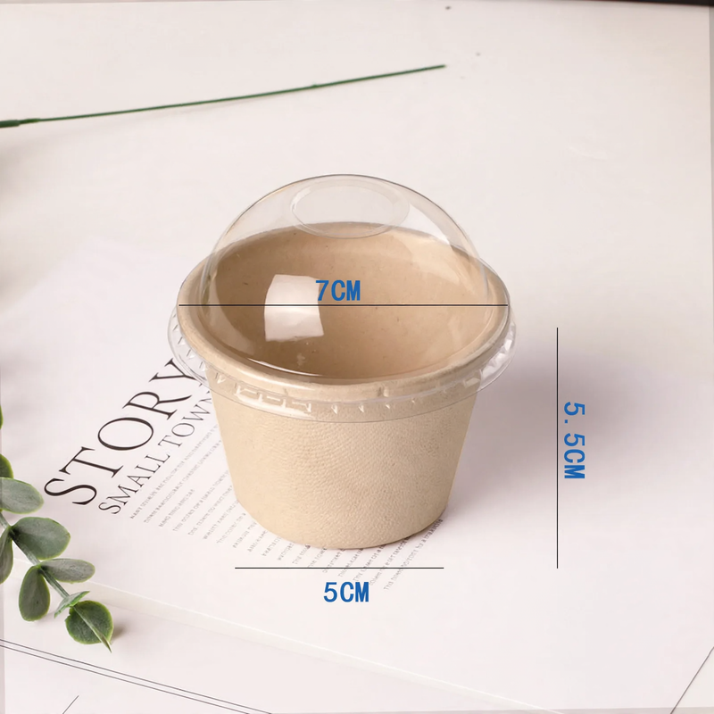 Disposable paper container, biodegradable