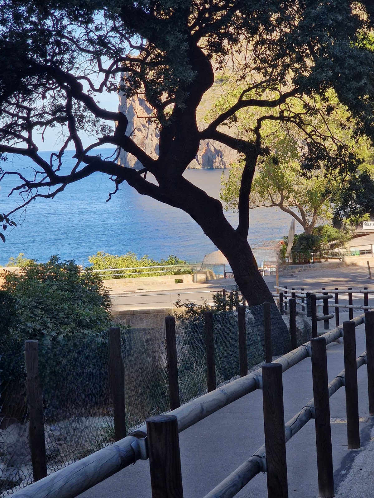 Photo de l’escale Palma