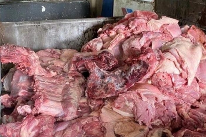 300 tấn thịt heo bệnh vào trường học: Cơ quan chủ quản nói gì? - Tạp chí Tri thức