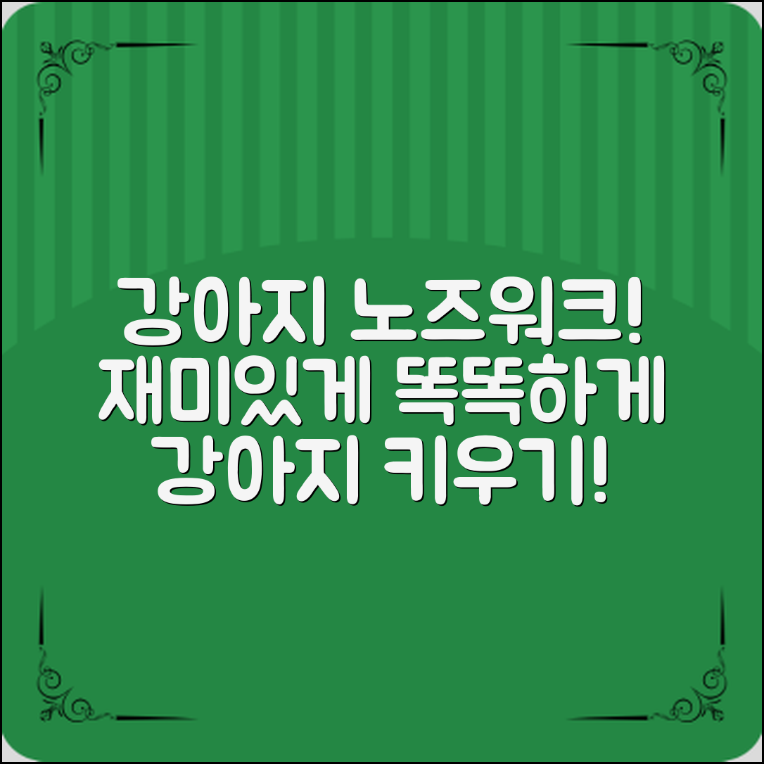 강아지노즈워크장난감으로 똑똑한 강아지 만들기!