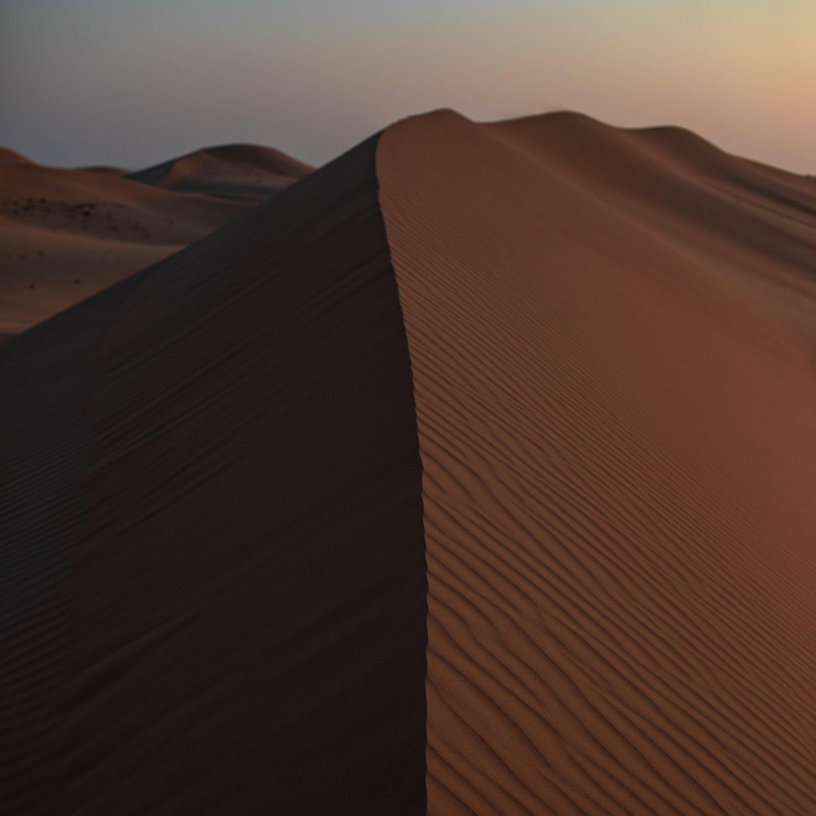 Download Golden Sand Dune Ridge 5K iPhone