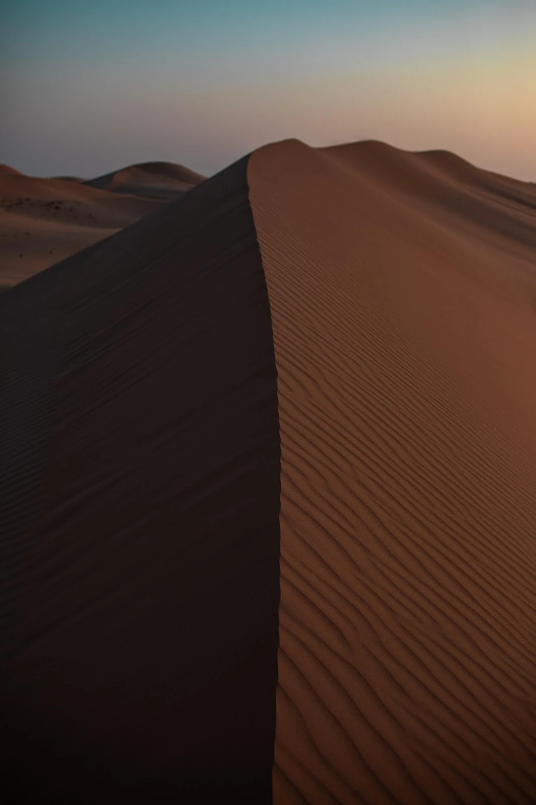 Golden Sand Dune Ridge - Landscape Photography 5K iPhone Wallpaper (4480x6720)