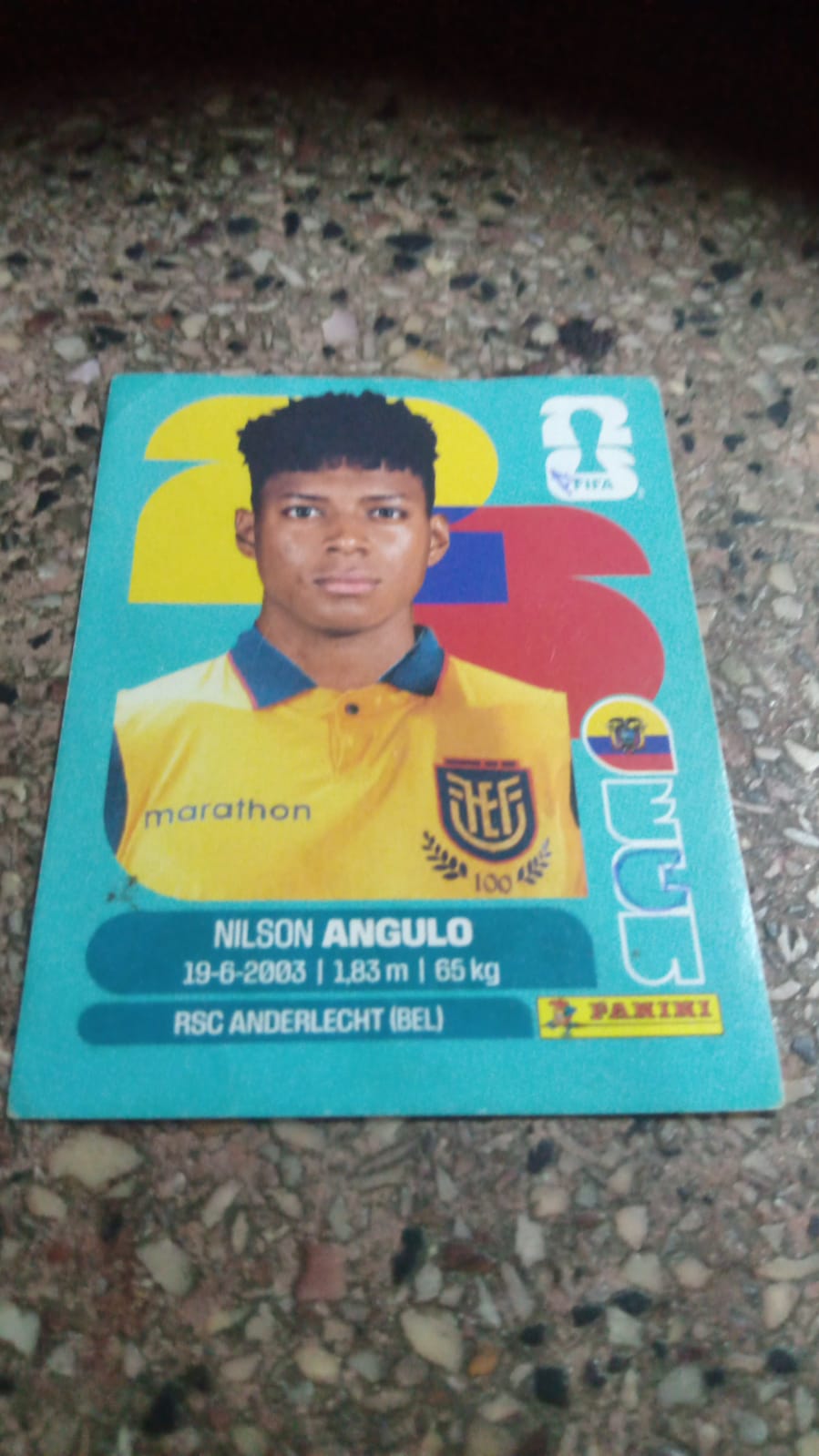 Nilson Angulo