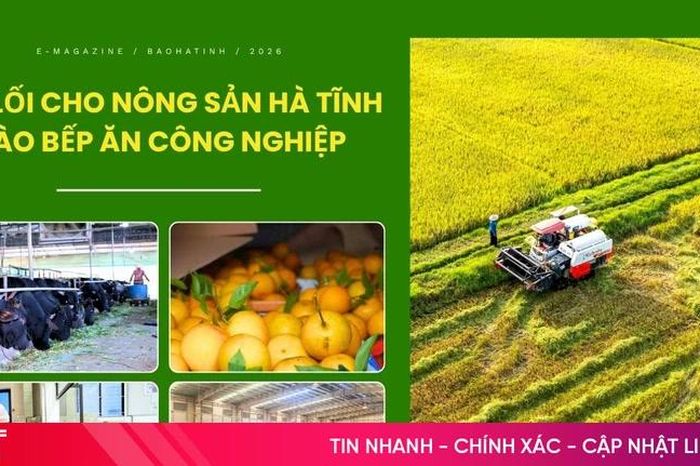 Bài 1: Cung cầu thực phẩm - 'gần mà xa' - Báo Hà Tĩnh