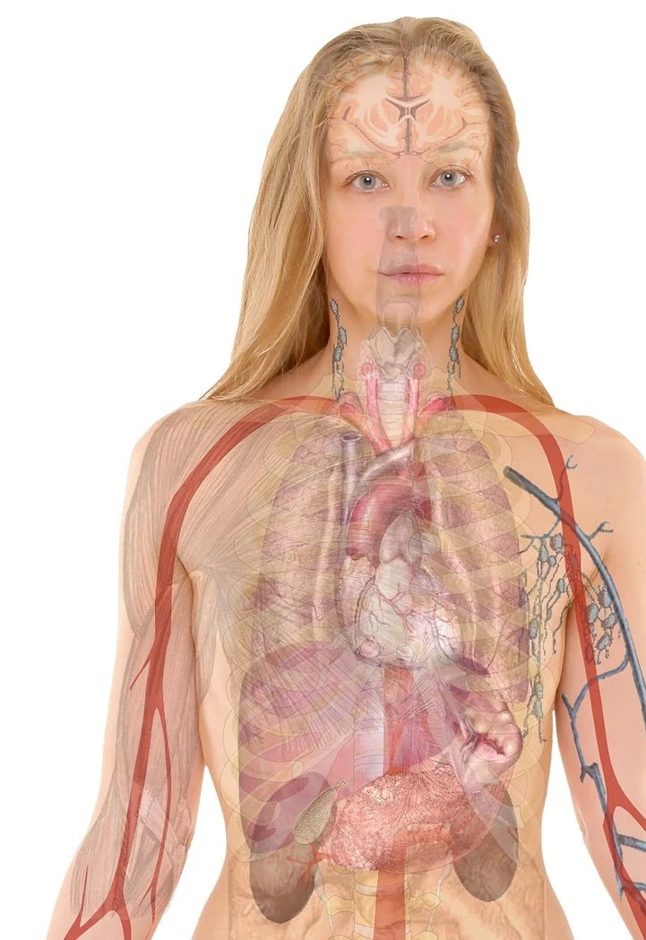 허파에 바람 들다의 뜻과 유래, 현대적 의미 변화