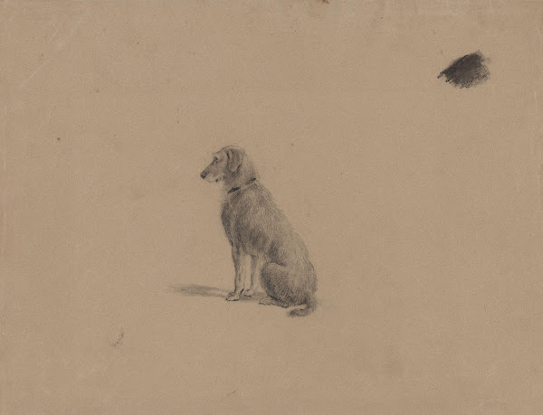 Sitting dog