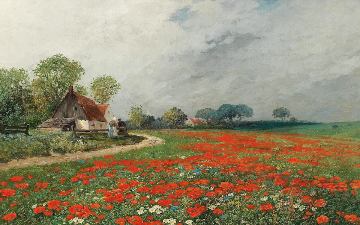 A Poppy Field with Daisies