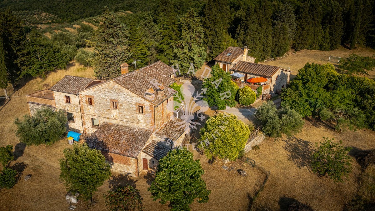 פודרה פוג'ו אל לאגו (Podere Poggio al Lago) — 15