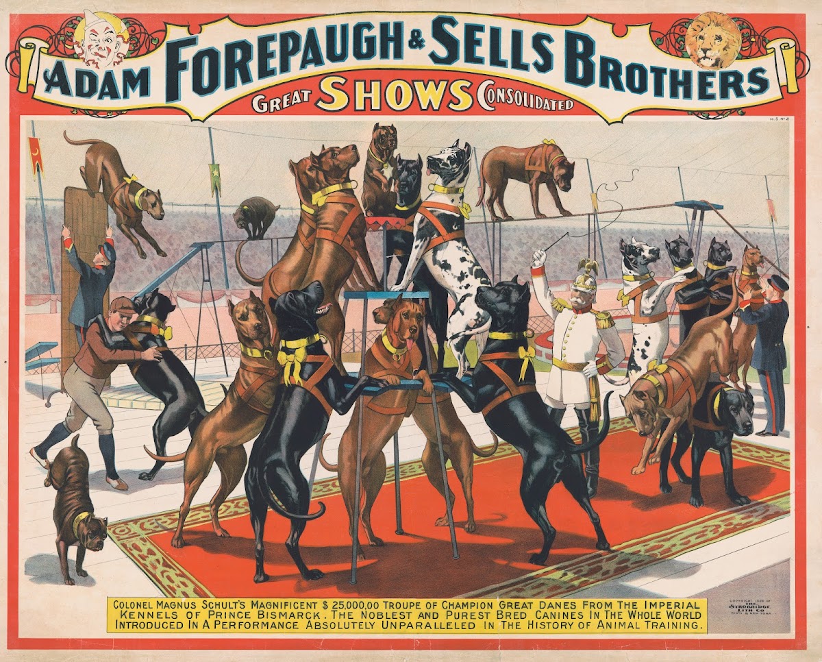 Adam Forepaugh and Sells Brothers great shows consolidatedColonel Magnus Schults