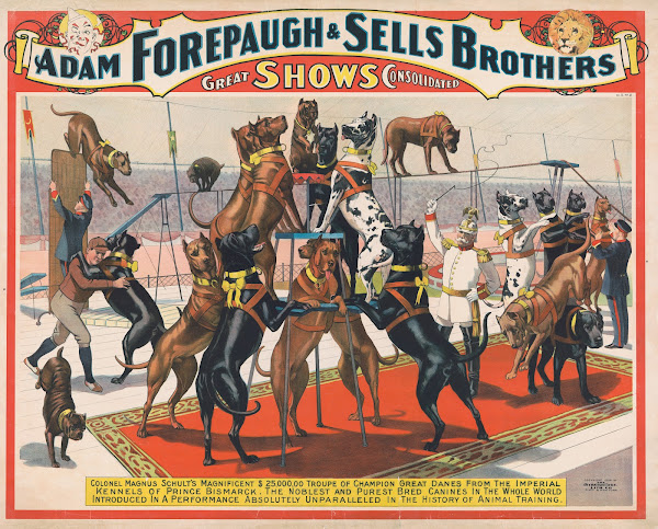 Adam Forepaugh and Sells Brothers great shows consolidatedColonel Magnus Schults