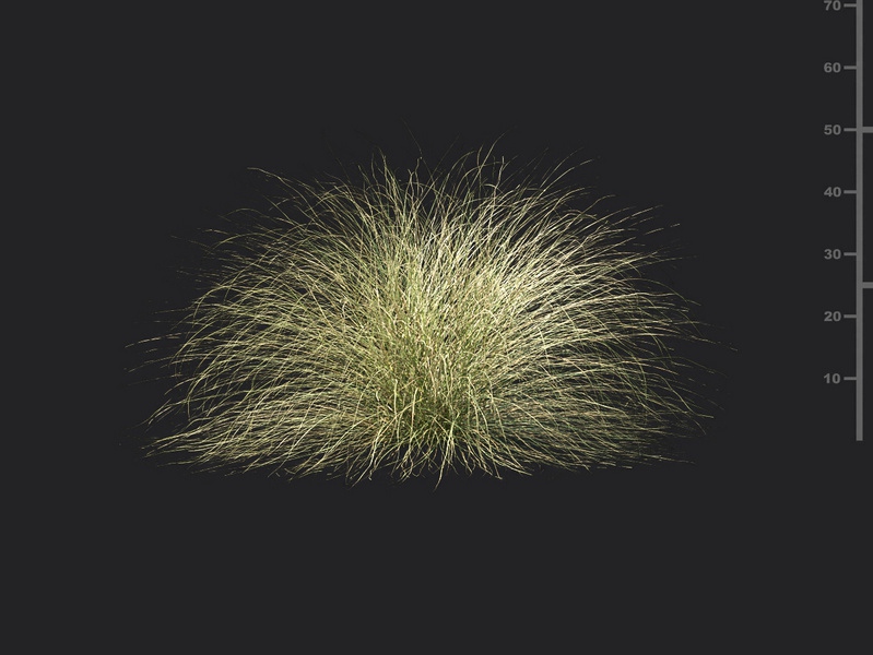 Maxtree - Plant Models Vol.115