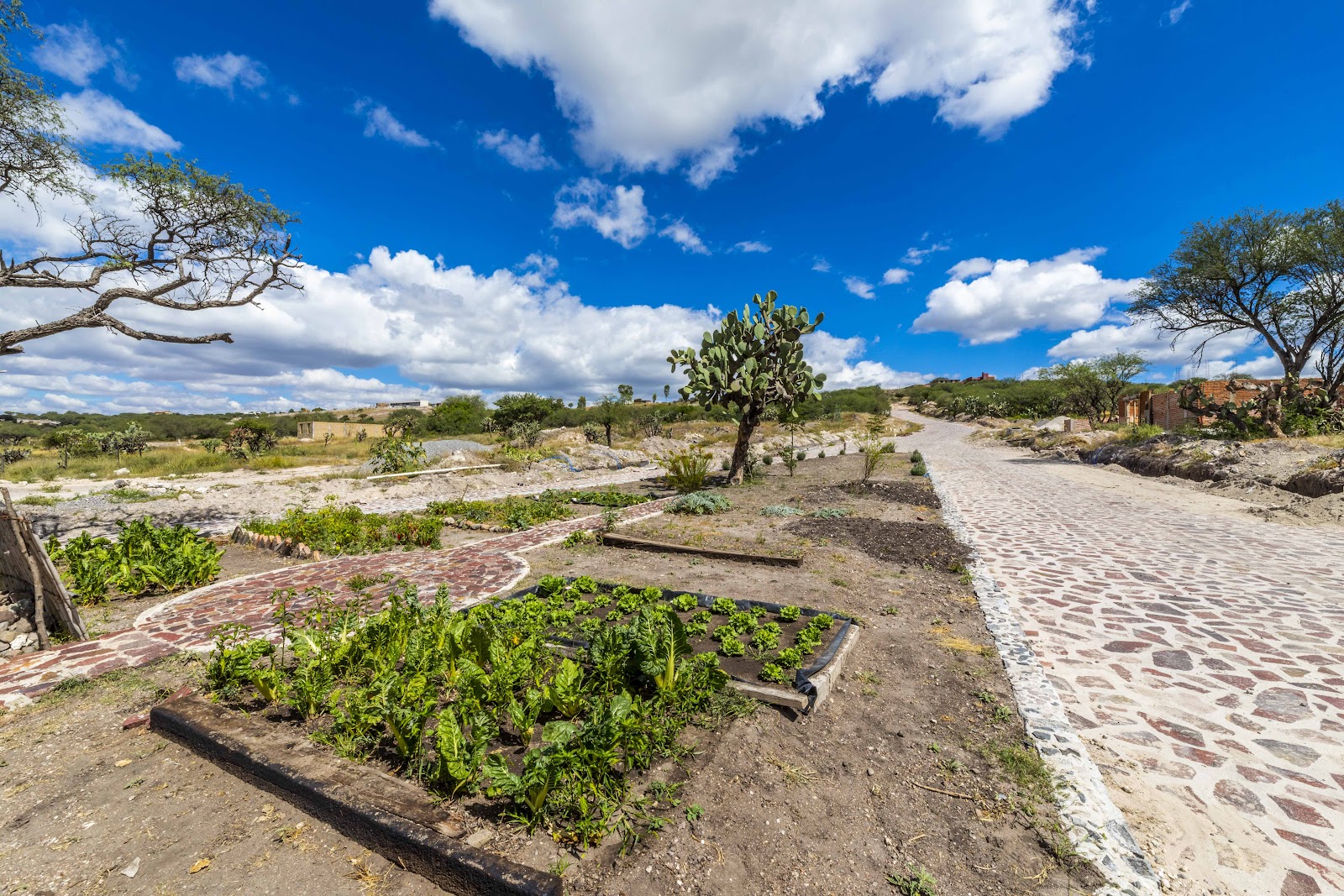 Casa Camino Real