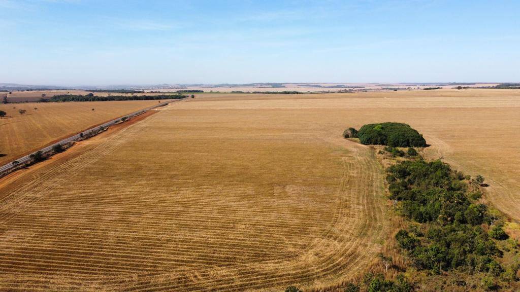 Fazenda no Município de Orizona - GO. 4