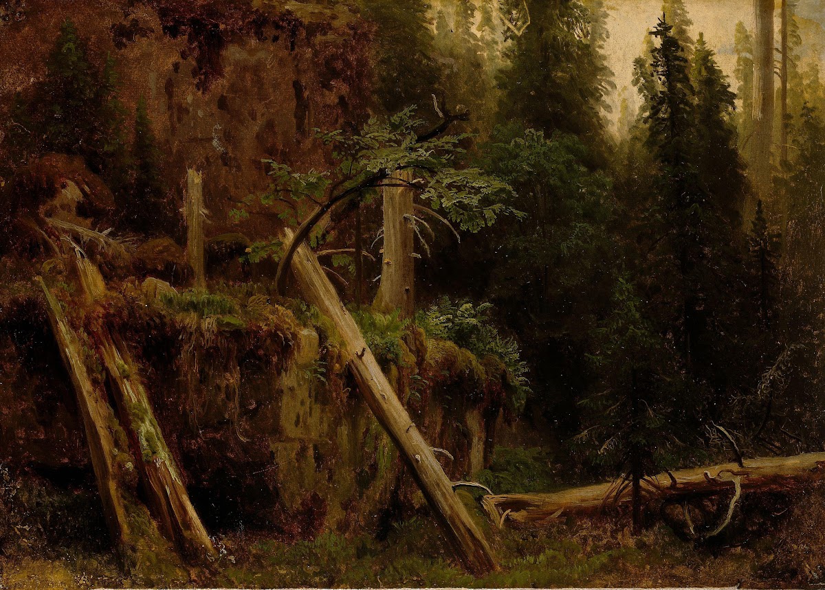 Landscape Study with decaying Trees 1851