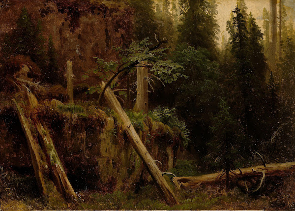 Landscape Study with decaying Trees 1851