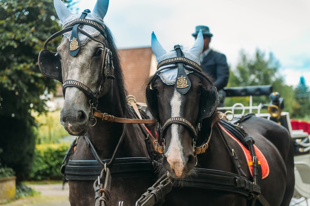 Braut steigt aus dem Auto