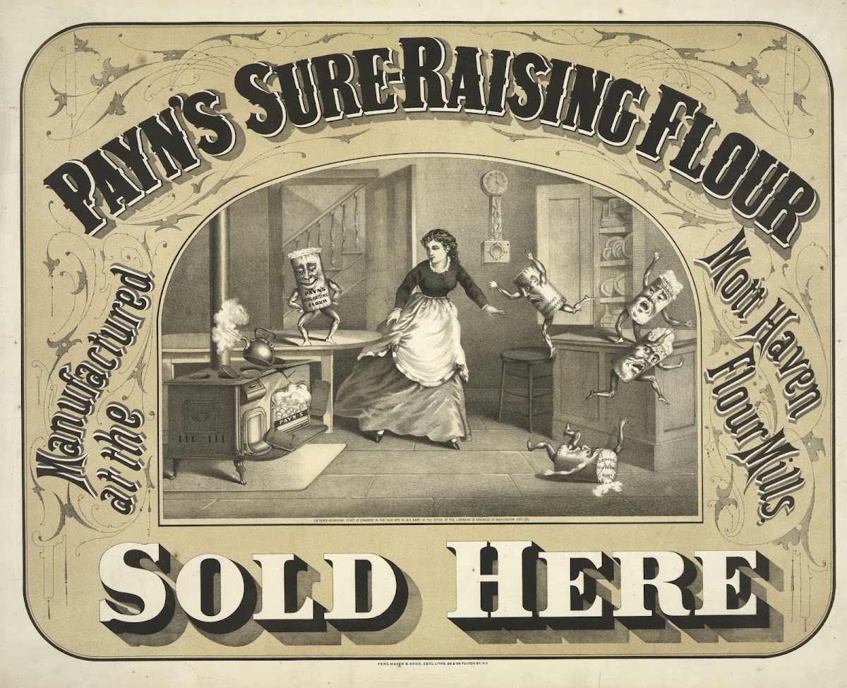 Payns sure raising flour 1873