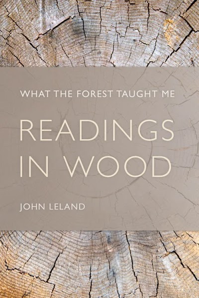 Readings in Wood- What the Forest Taught Me