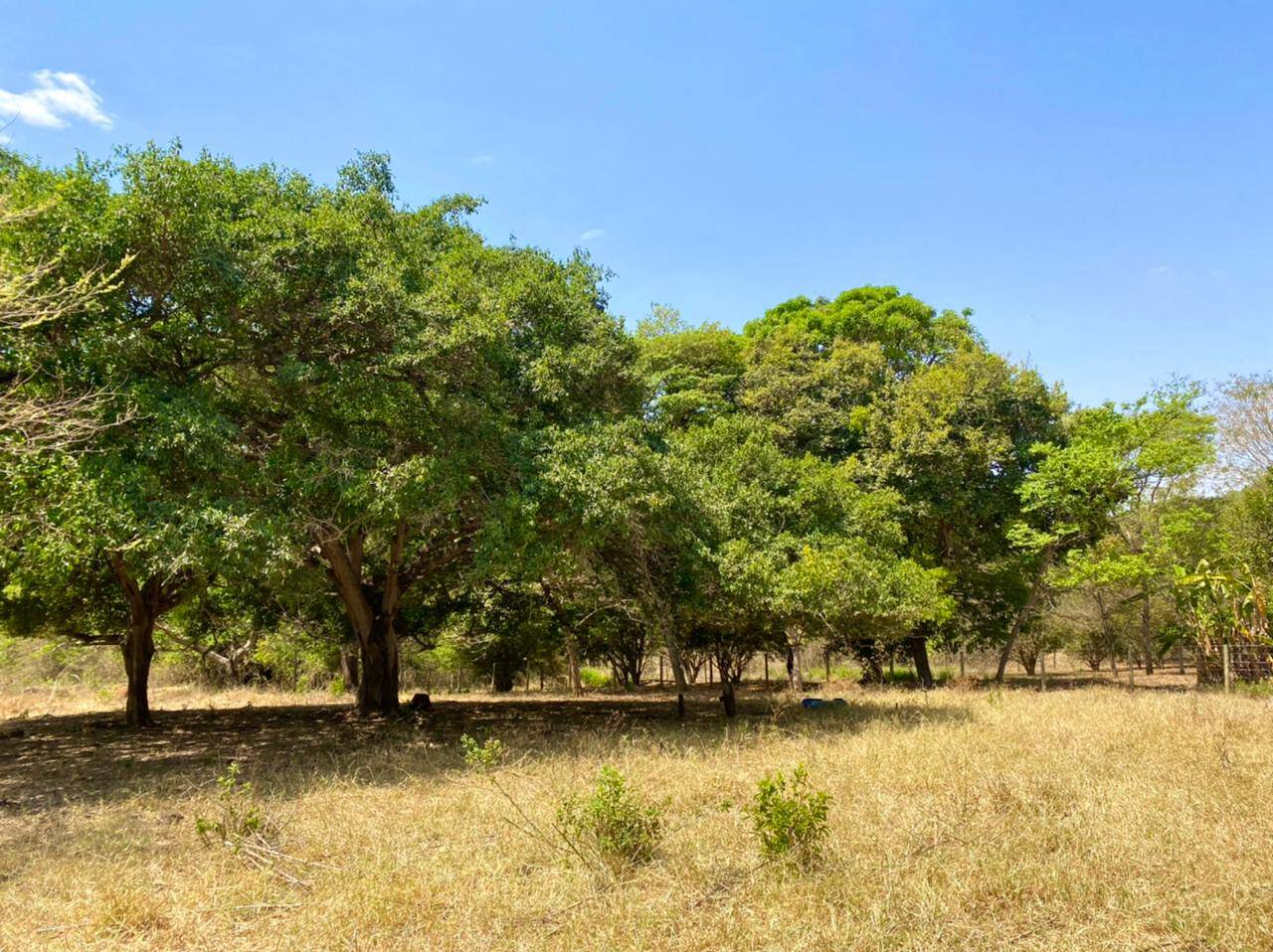 Chácara em Bela Vista de Goiás - GO 8