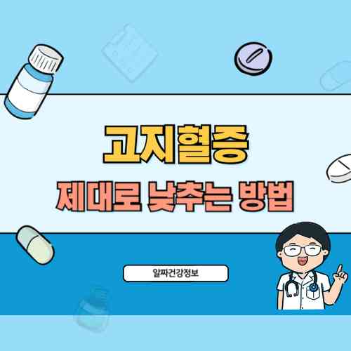 고지혈증에 좋은 음식 10가지 - 콜레스테롤 낮추는 식단 추천