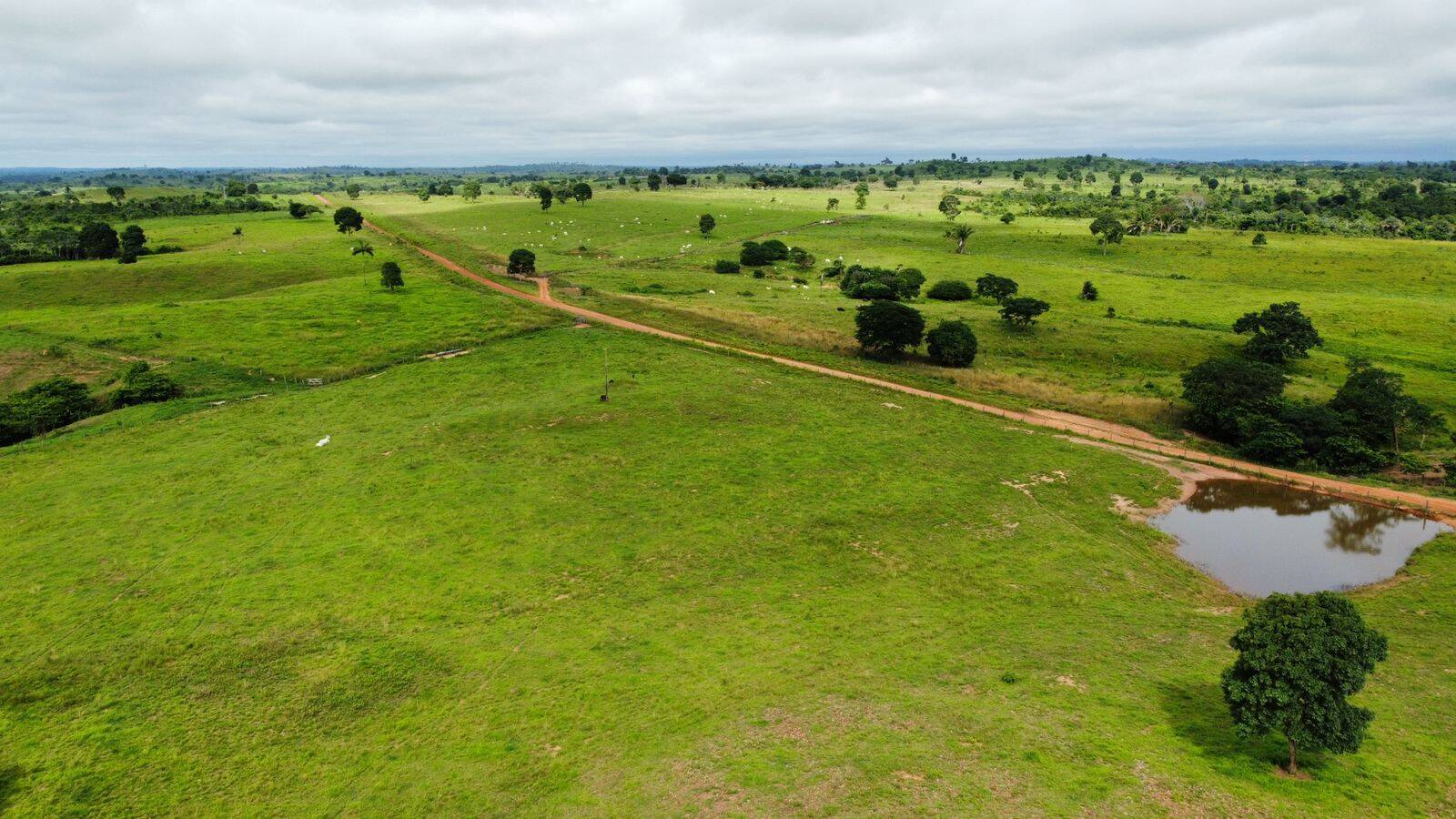 Fazenda em Brejo Grande do Araguaia-PA 6