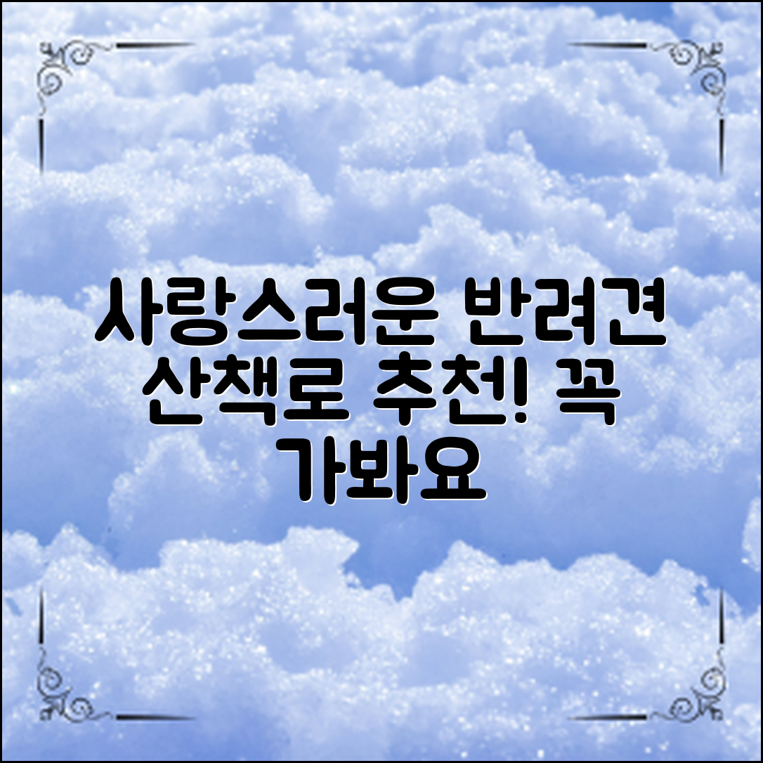 반려견 산책 코스 추천! 사랑스러운 산책길 찾기