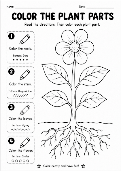 Color the Plant Parts