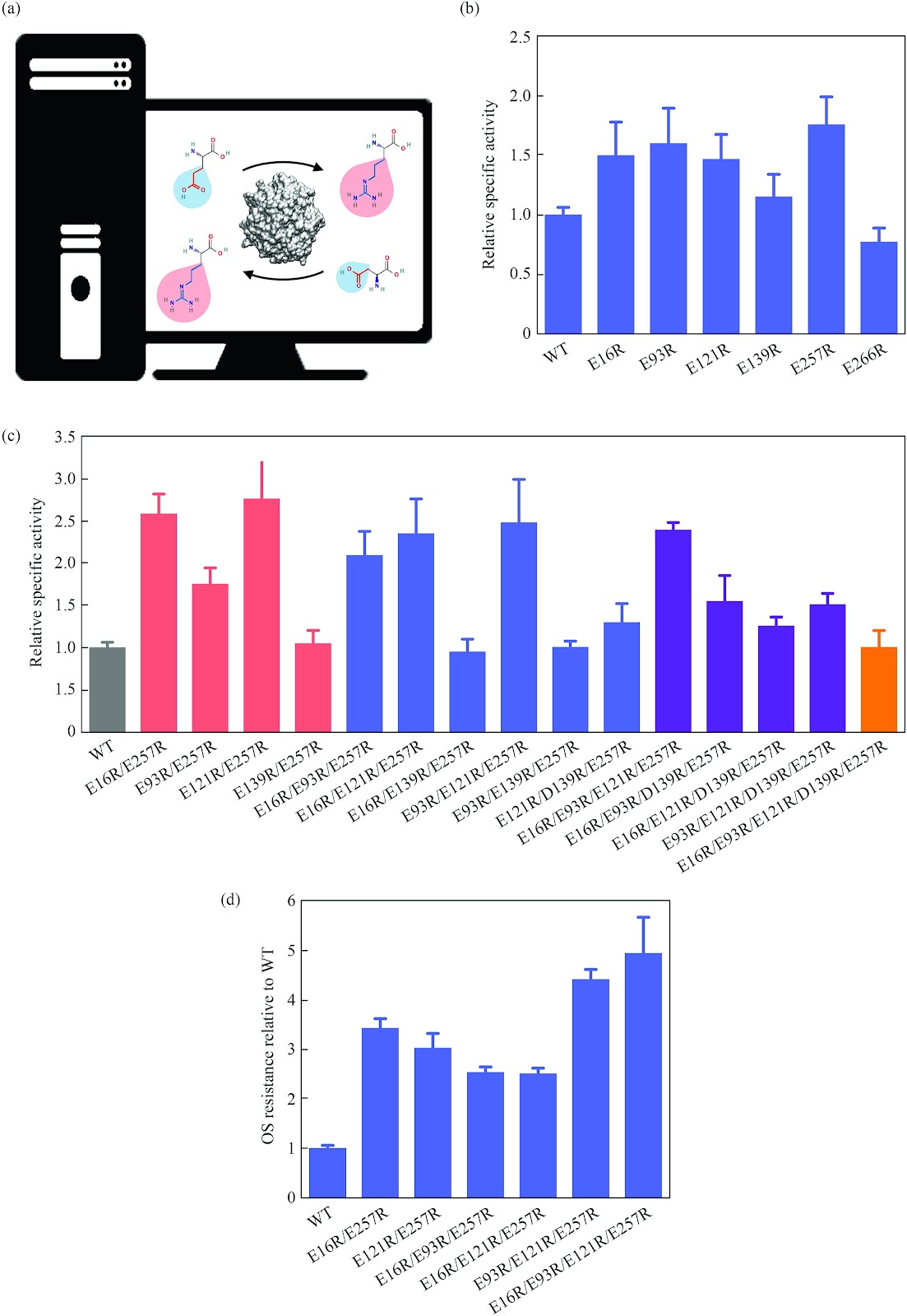 Rational surface charge engineering of haloalkane dehalogenase for boosting the enzymatic performance in organic solvent solutions