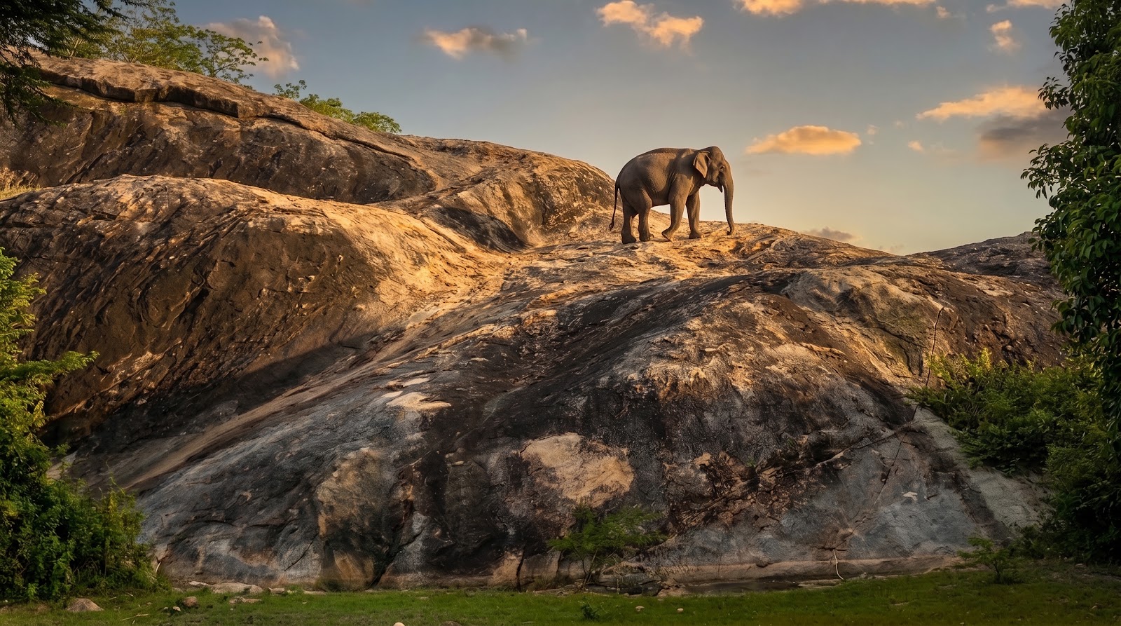 Visiting Wild Elephants Near Komari Lagoon