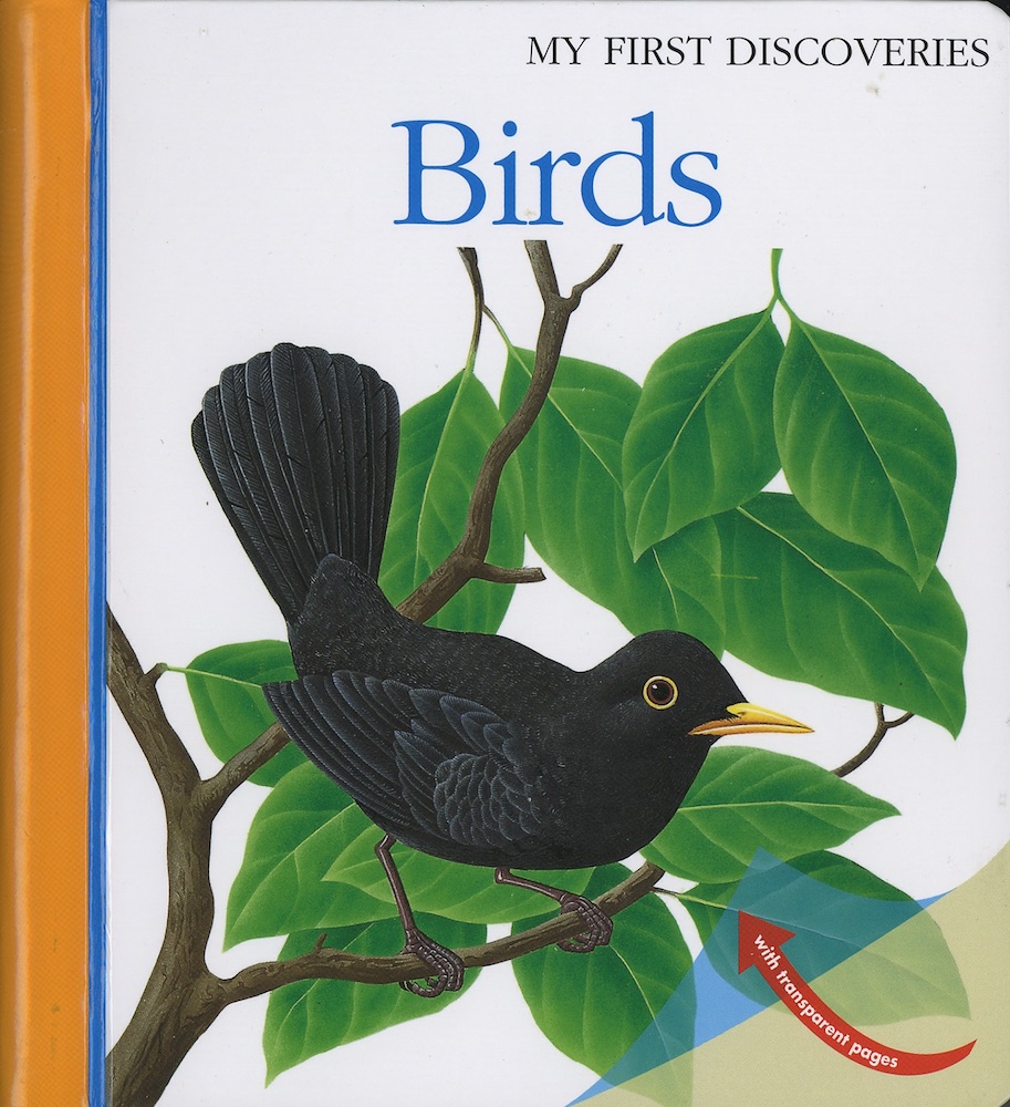 Birds [PO]