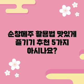 순창메주세트, 메주 활용 방법, 순창메주 정보, 전통 장류, 건강한 장류 만들기