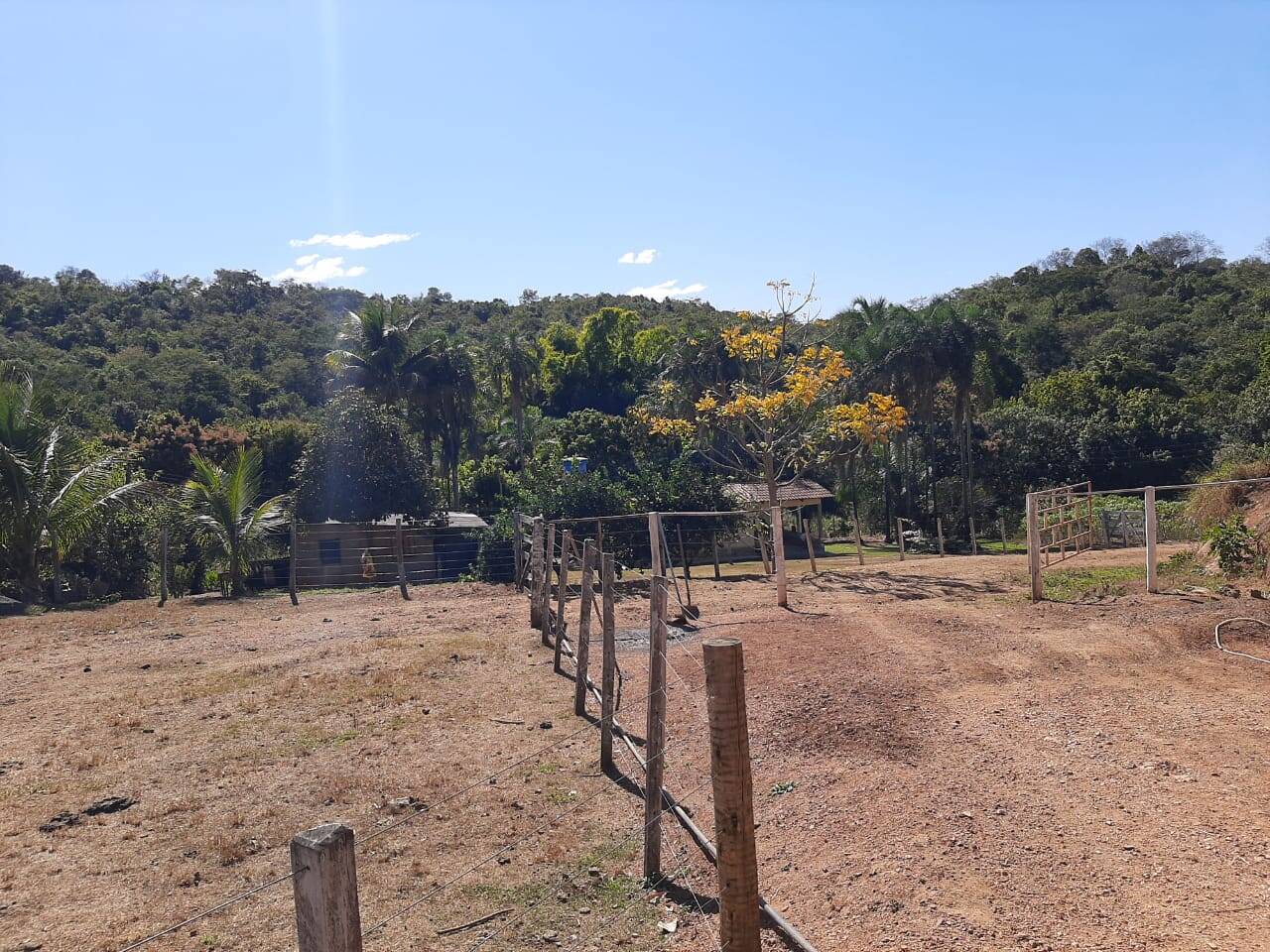 Fazenda em São Miguel do Passa Quatro - GO 10