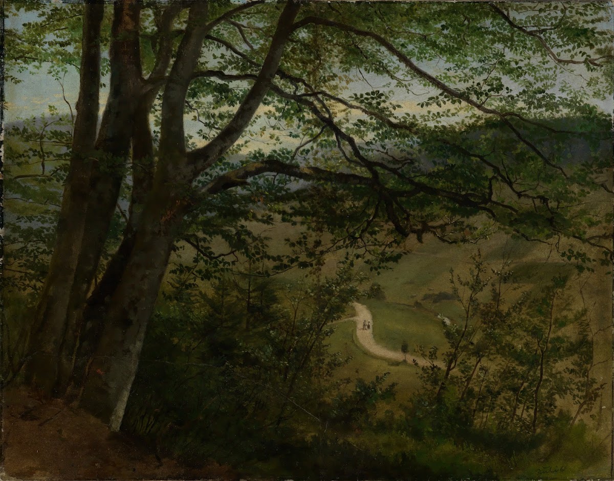 Blick durch Bäume und Gesträuch auf Tal 1861