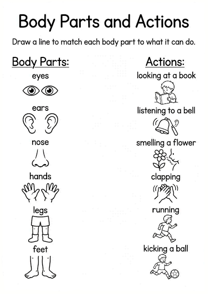 Body Parts and Actions