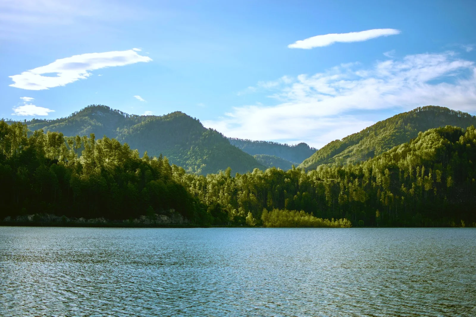 Nature, Lake, Mountain, Forest 5K Wallpaper Background (5857x3905)