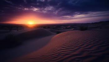 Desert Sunset Wallpaper