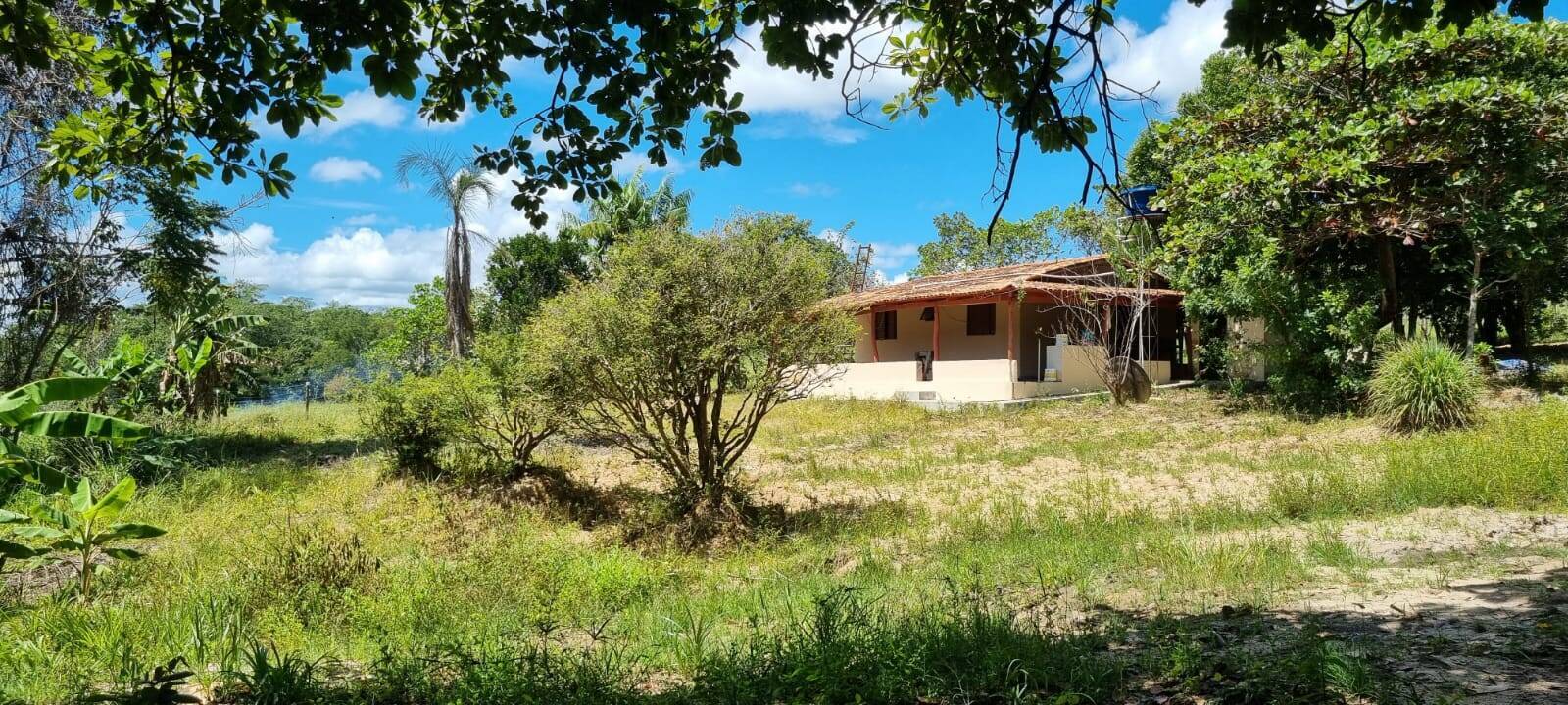 Chácara em Jaraguá-GO 3