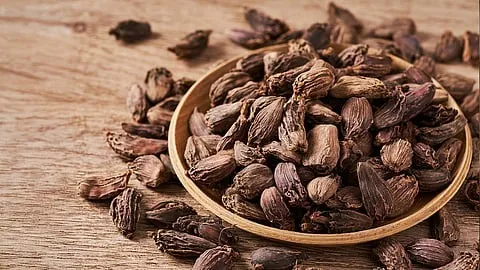 গ্যাস-অম্বল থেকে হৃদরোগ—সবেরই অব্যর্থ দাওয়াই ‘বড় এলাচ’, রান্নাঘরের এই মশালায় লুকিয়ে সুস্বাস্থ্যের গোপন রহস্য