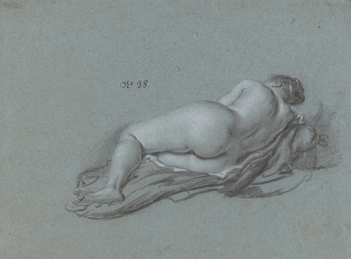 Reclining Female Nude 16551661