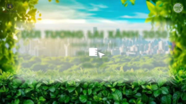 Video thumbnail từ Google Drive