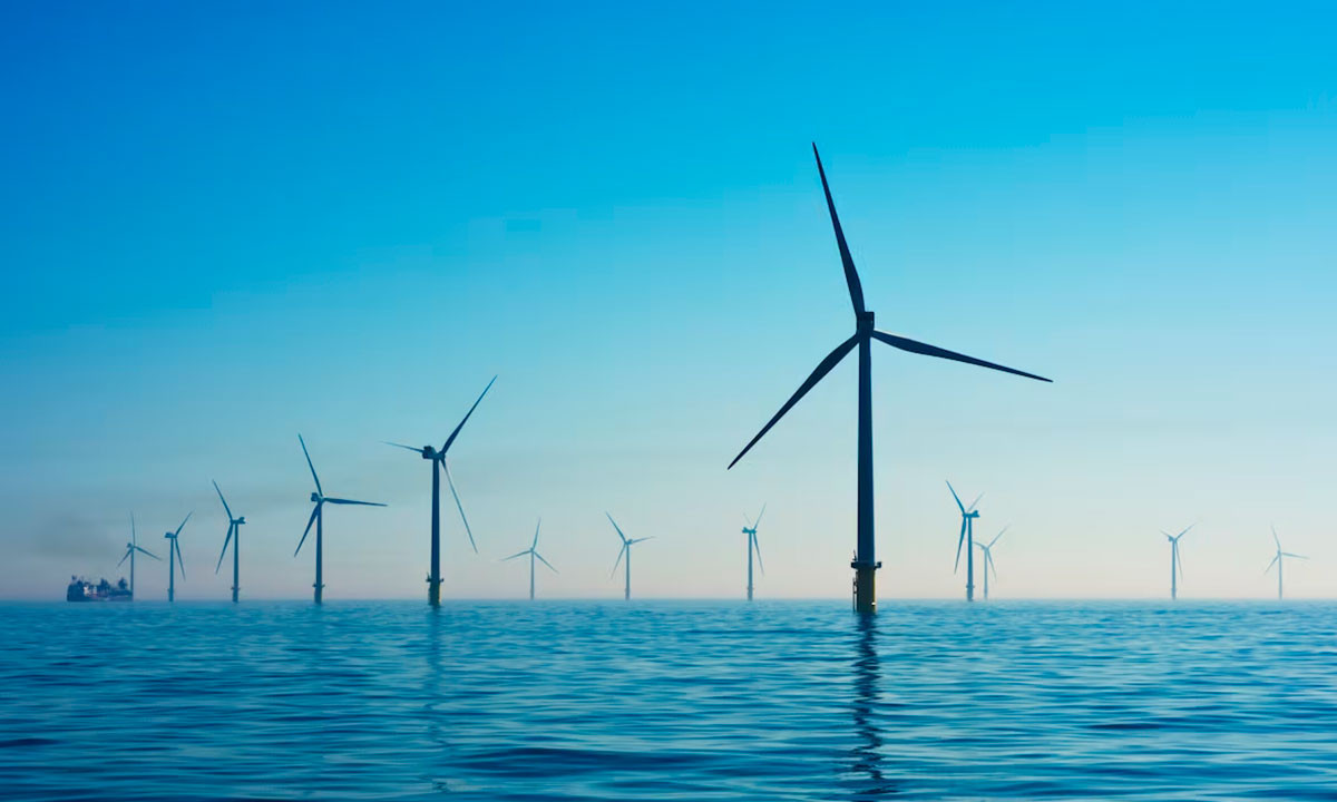 Sin la economía azul, el futuro no será sostenible